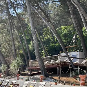 Le Castel De Fies Maison d'hôtes Solliès-Pont